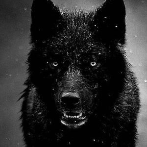 Meet your Posher, Raúl